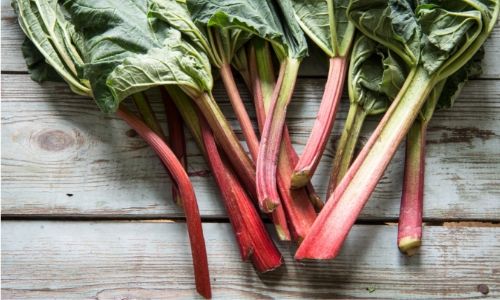 rhubarb for cooking